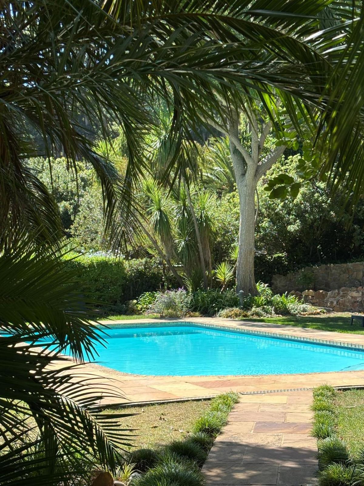 Houtkapperspoort-cottage King Protea-19constantia-nek * Cape Town