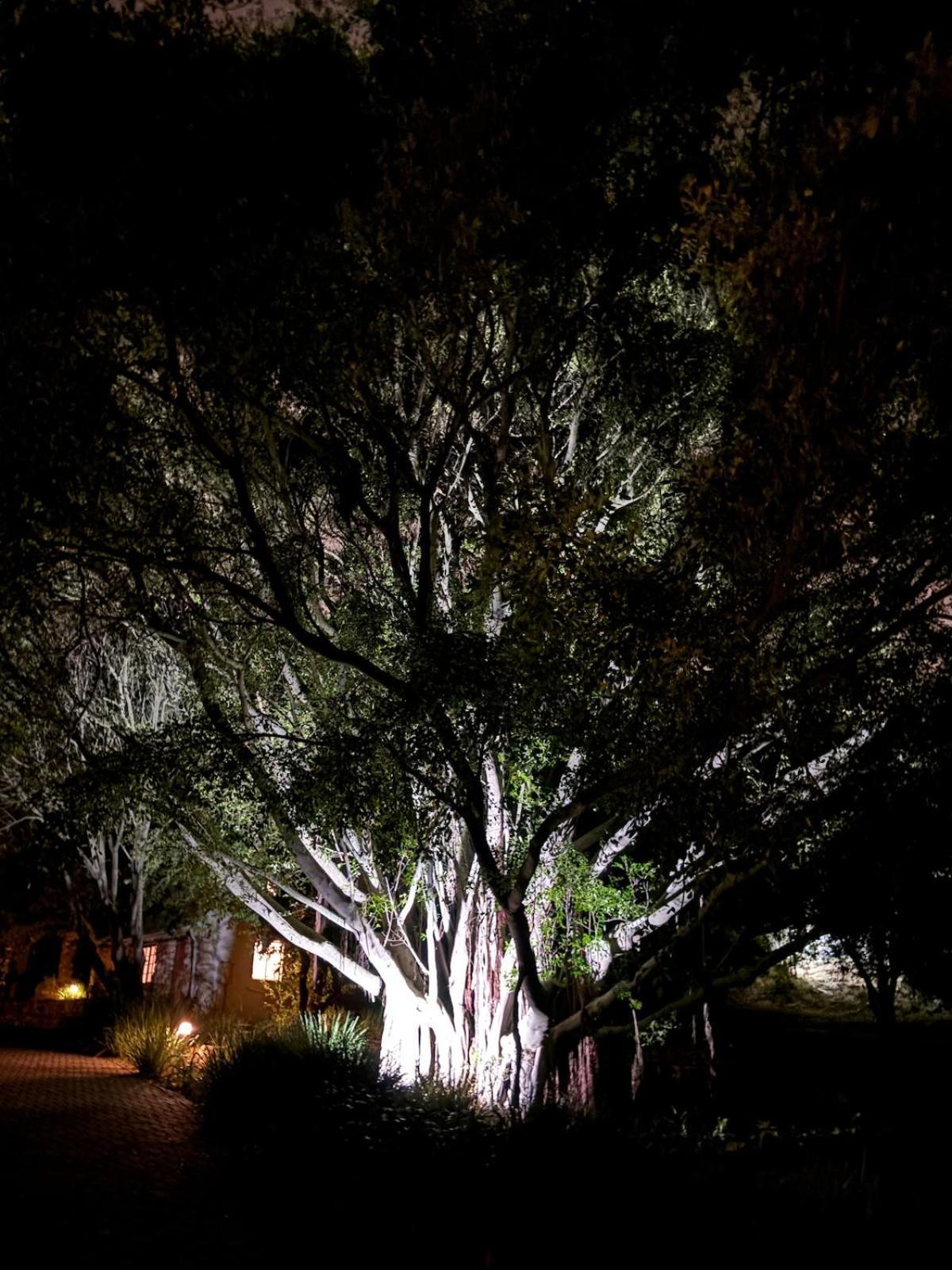 Houtkapperspoort-cottage King Protea-19constantia-nek * Cape Town
